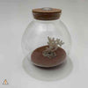 Natural Decor Small Glass LED Orb