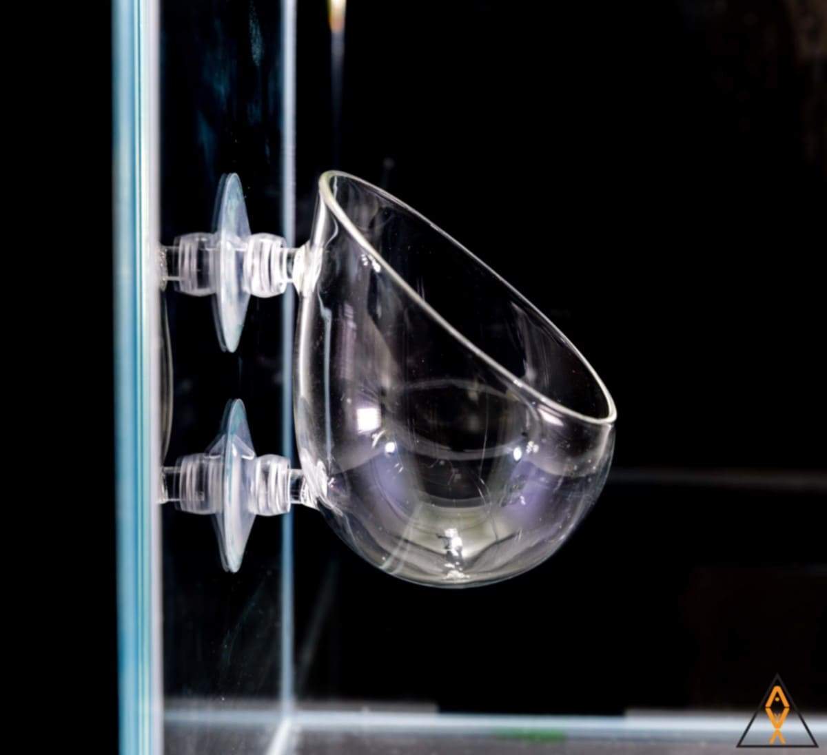 Glassware Glass Plant Pod - Aqua Lab Aquaria