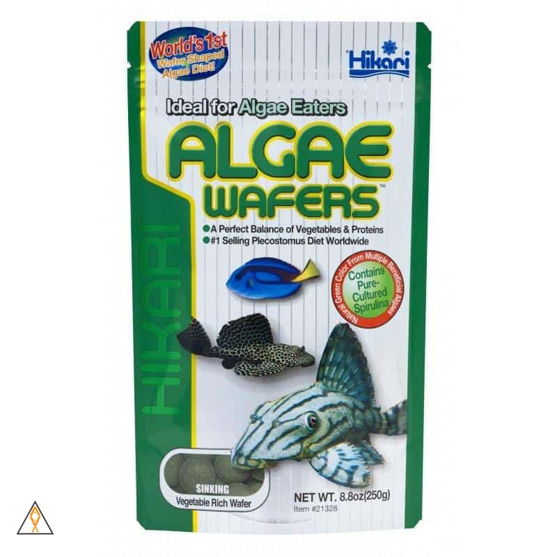 Fish Food Algae Wafers - Hikari