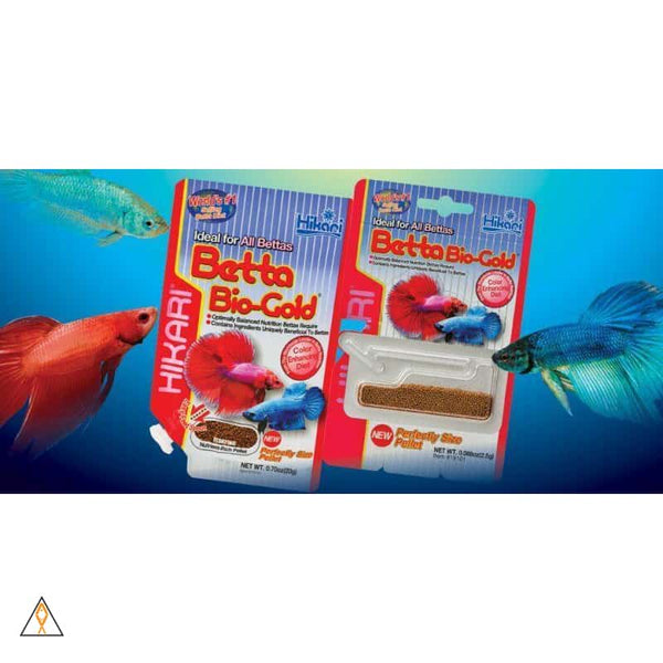 Bio gold hot sale betta food