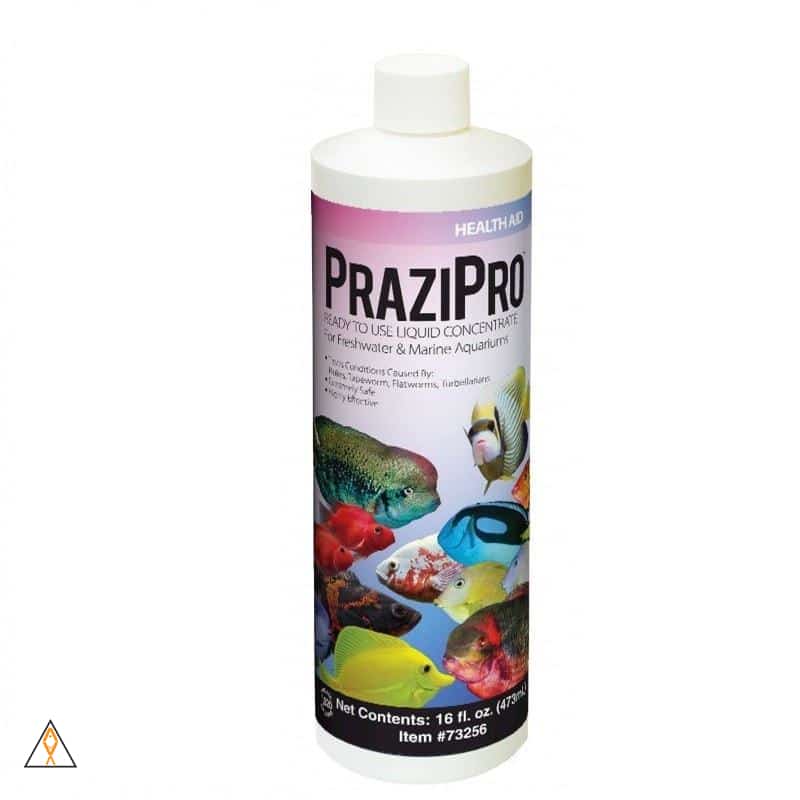 PraziPro Aquarium Medication - Hikari