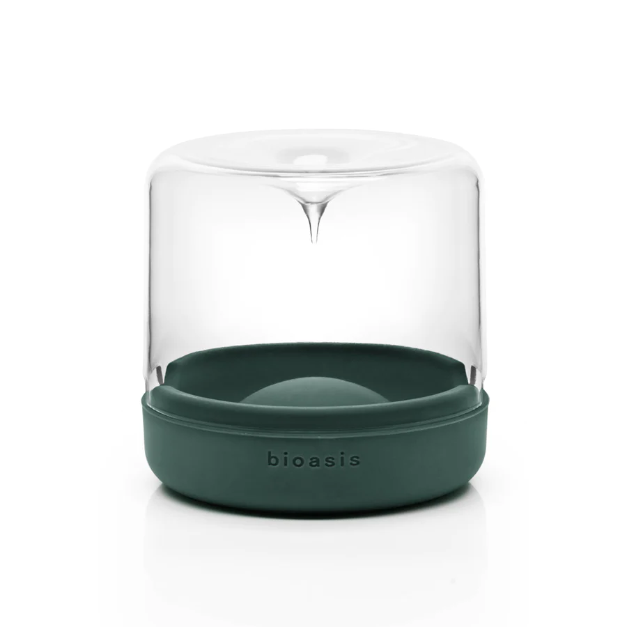 Closed Natura Bioasis Terrarium, Small