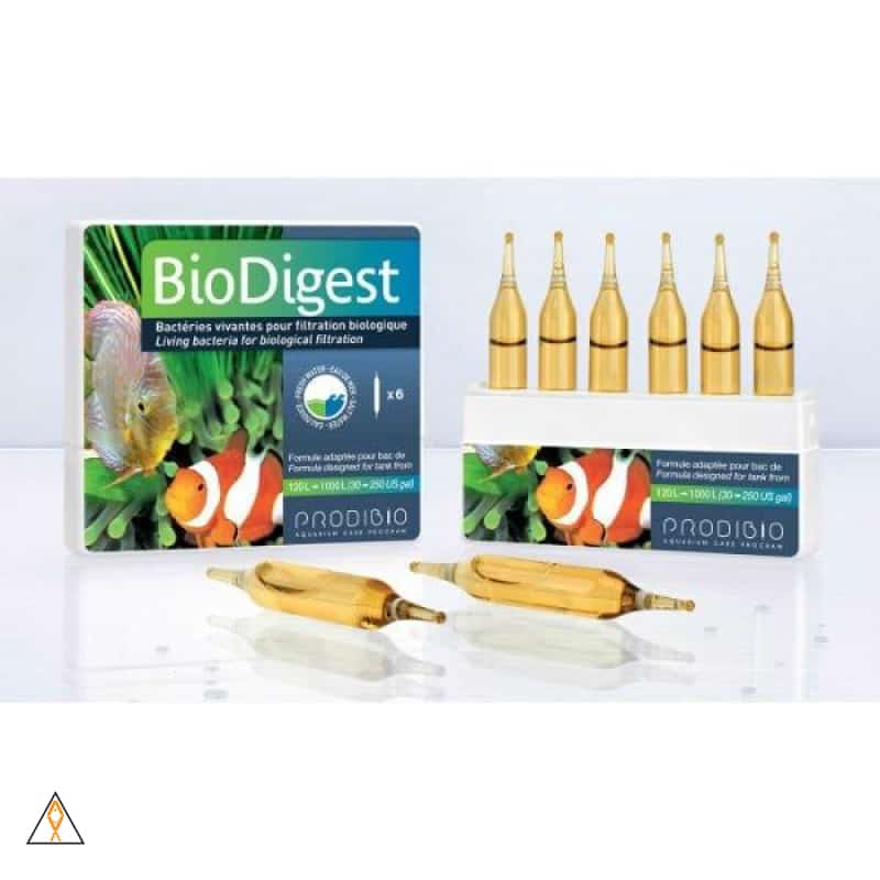 6 vials BioDigest Biological Booster - Prodibio