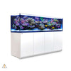 Aquarium System White REEFER 3XL 900 Aquarium System (192 GAL)
