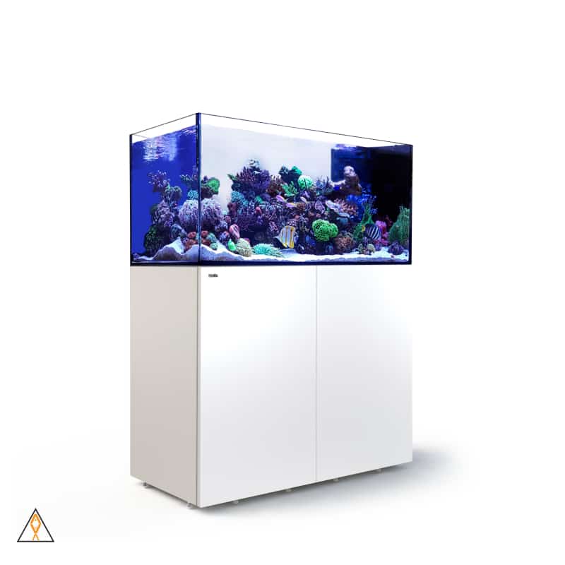 105 Gallon Rimless Aquarium