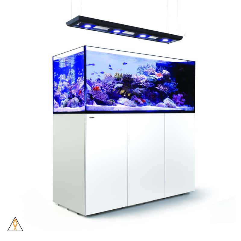 Spænde klik Bidrag REEFER Peninsula 650 Aquarium System (140 GAL) - Red Sea