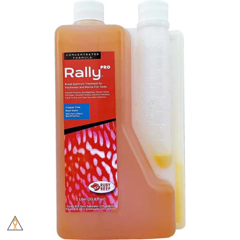 Rally Fish Bacteria and Parasite Treatment - Ruby Reef