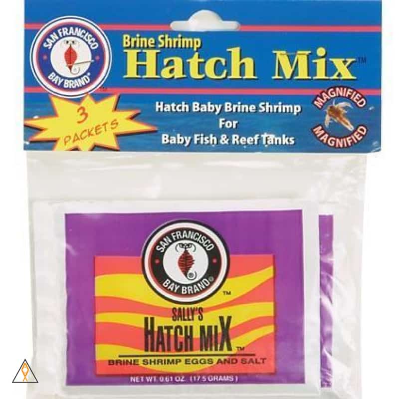 Brine Shrimp Hatch Mix Brine Shrimp Hatch Mix 3-pack - SF Bay Brand