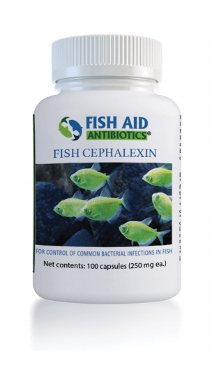 Fish Cephalexin - Fish Aid Antibiotics