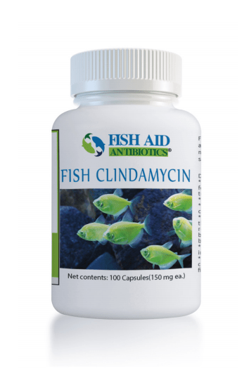 Fish Clindamycin - Fish Aid Antibiotics