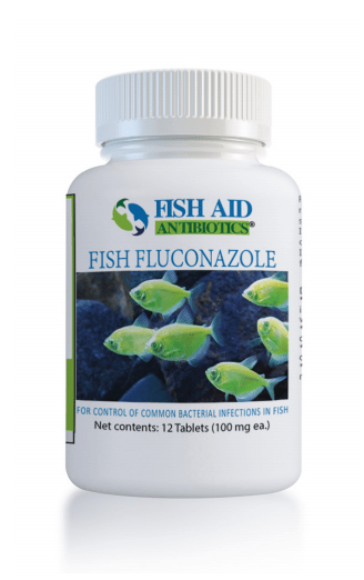 best antibiotic for fish hook wound Fish Fluconazole