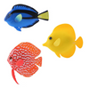 Artificial Fish Decoy - ALA
