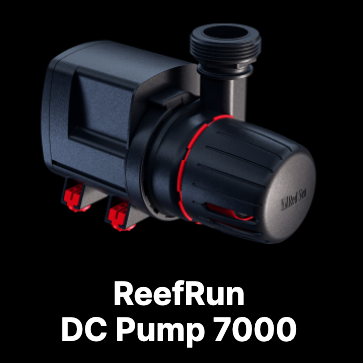 レッドシーReefRun 7000 新品 screenshot2023-03-