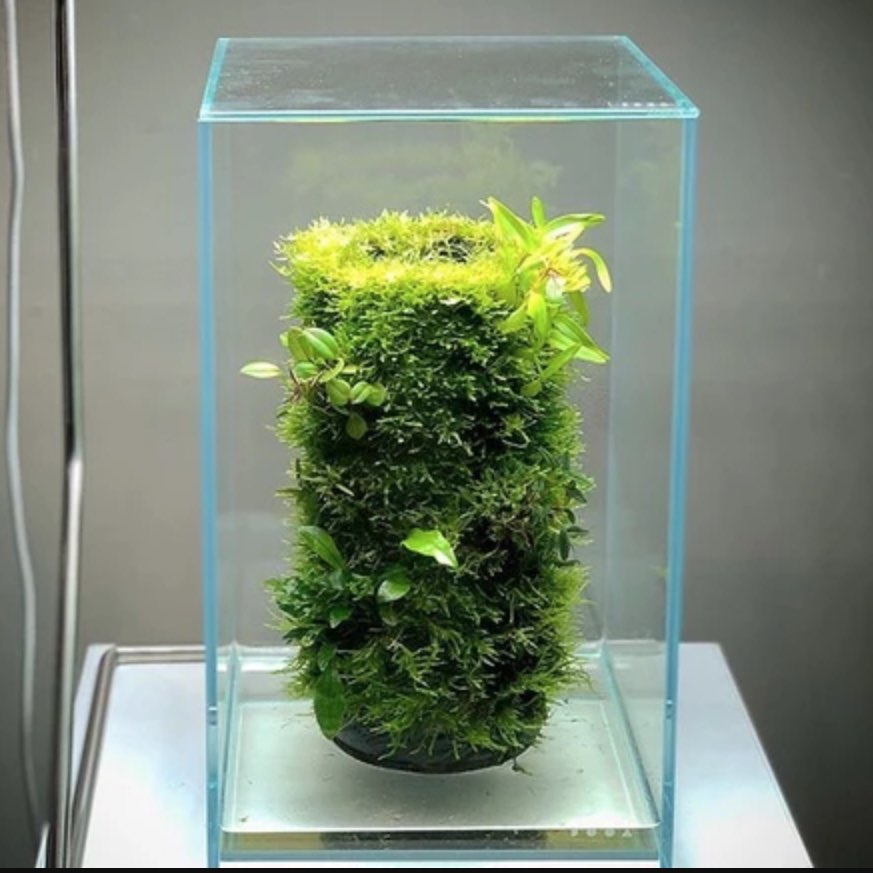 clay pots for aquarium plants Terra Base Clay Pot