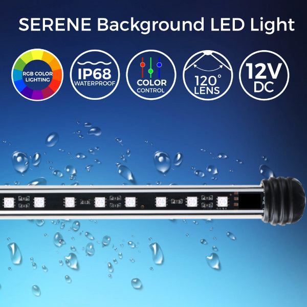 Serene Background Light Kit - Current