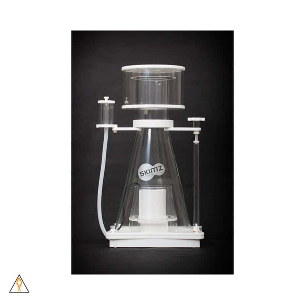 skimz-oval-d-series-dc-protein