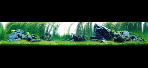 Nature Aquarium　Complete Works 1985-2009 The Art of Nature Aquarium - ADA \u2013 Aquapets ( KowloonAquarium)