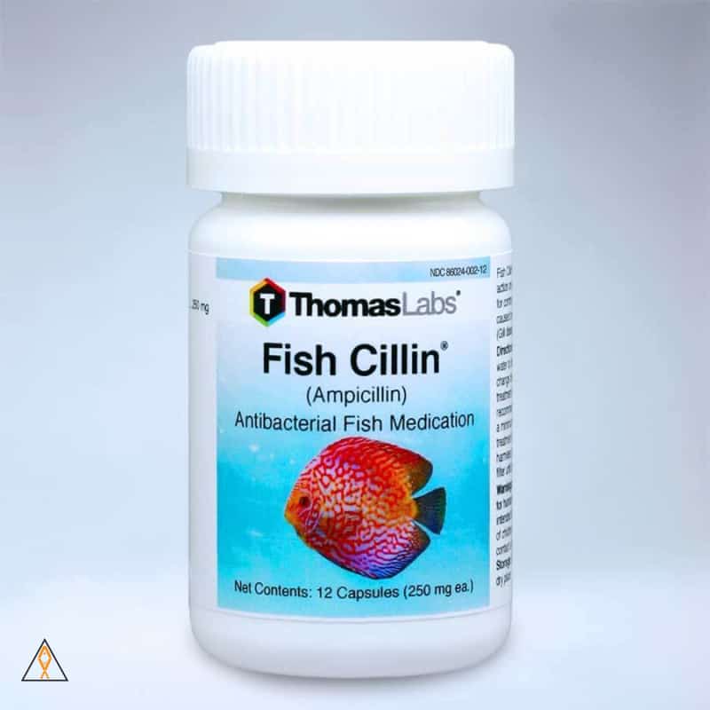 Fish Medication 12 x 250mg capsules Fish Cillin Ampicillin Antibacterial Fish Medication - Thomas Labs