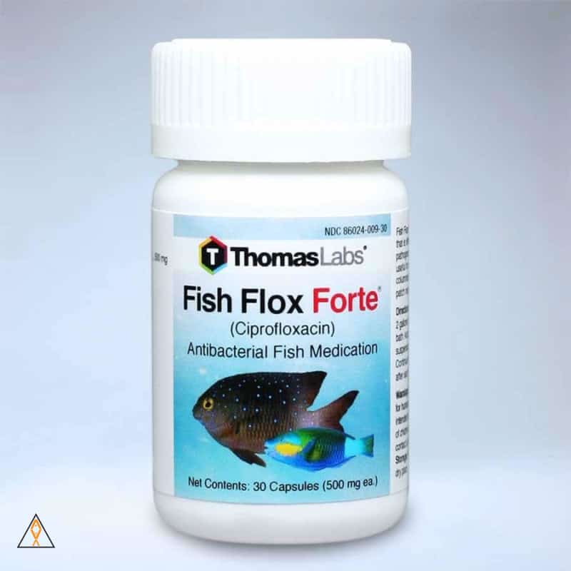 Fish Flox Ciprofloxacin Medication - Thomas Labs