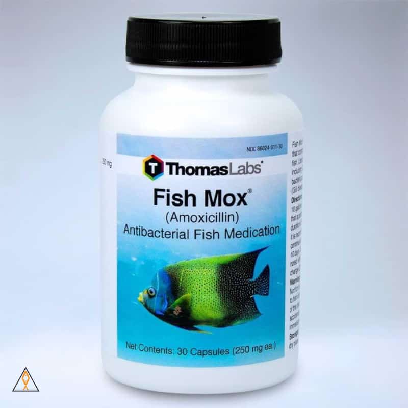Fish Mox Amoxicillin Medication - Thomas Labs