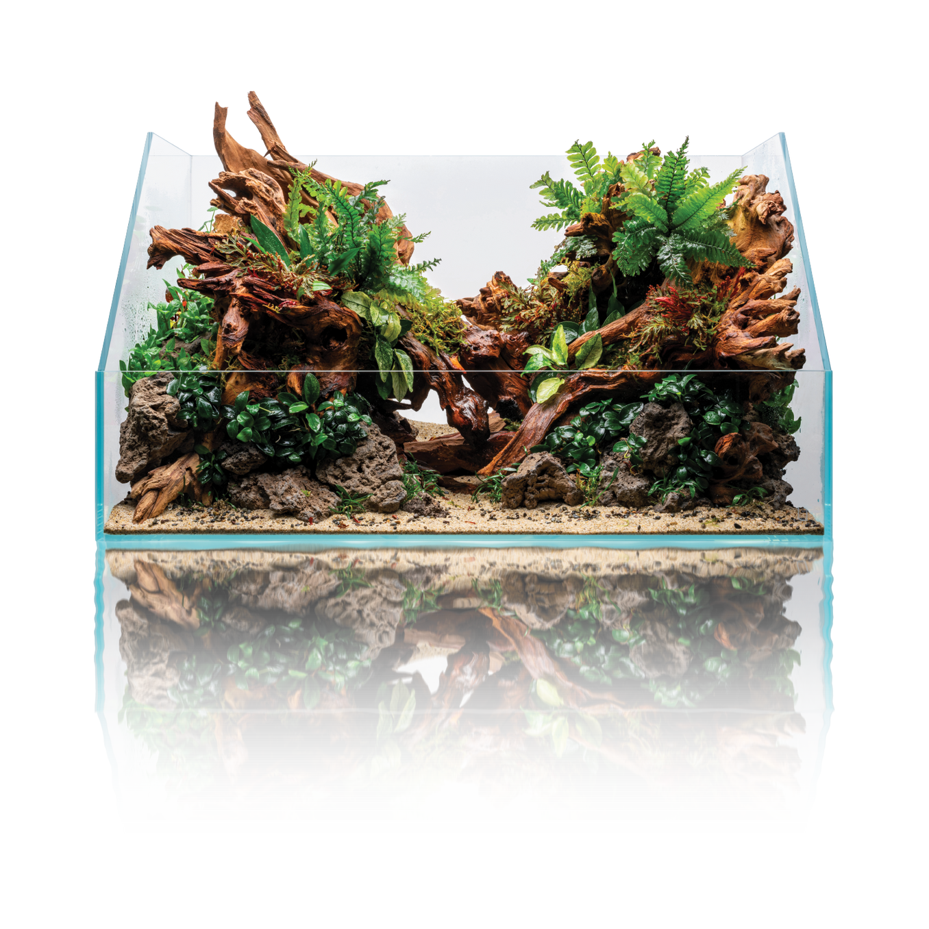 UNS 60E Rimless Paludarium (7 GAL) - Ultum Nature Systems